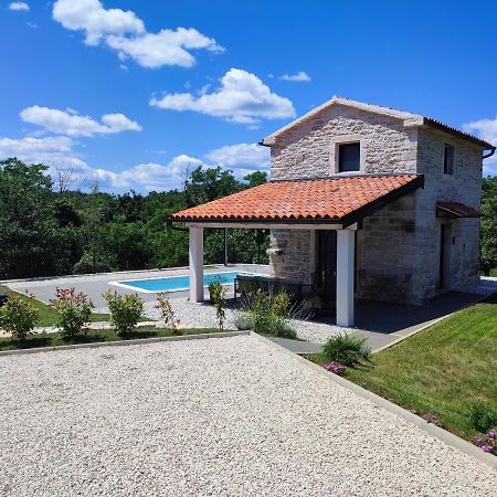 Villa Lita Пазин Екстериор снимка