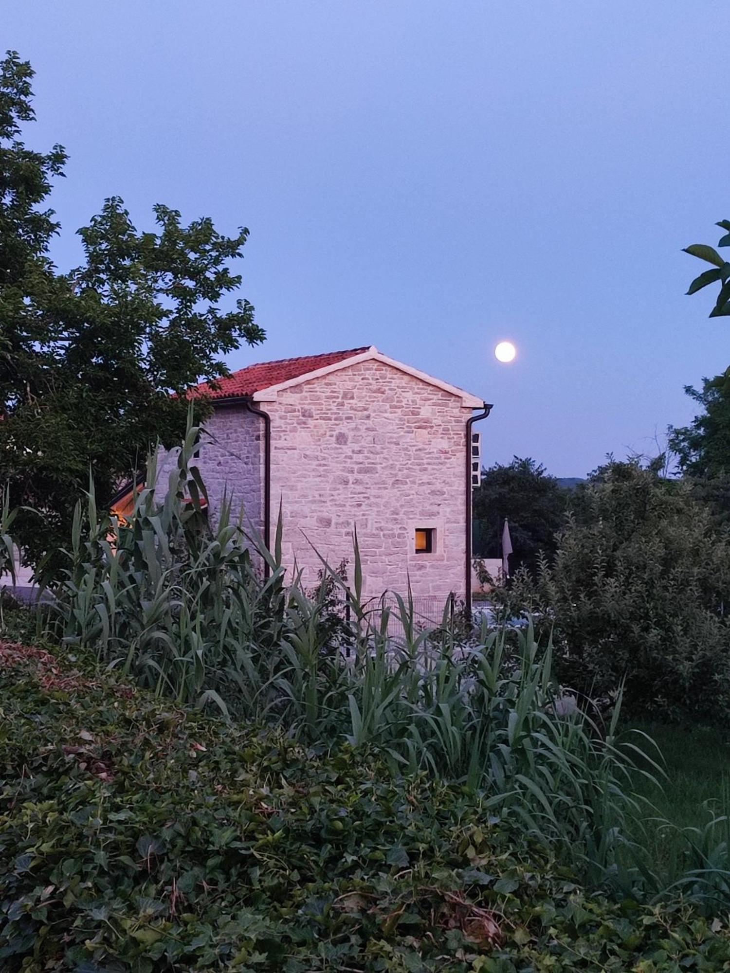 Villa Lita Пазин Екстериор снимка
